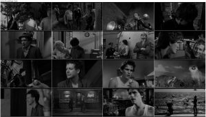 دانلود فیلم ماهی جنگی Rumble Fish 1983 دانلود فیلم ماهی جنگی Rumble Fish 1983