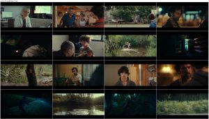 دانلود فیلم پادشاهی حیوانات The Animal Kingdom 2023 دانلود فیلم پادشاهی حیوانات The Animal Kingdom 2023