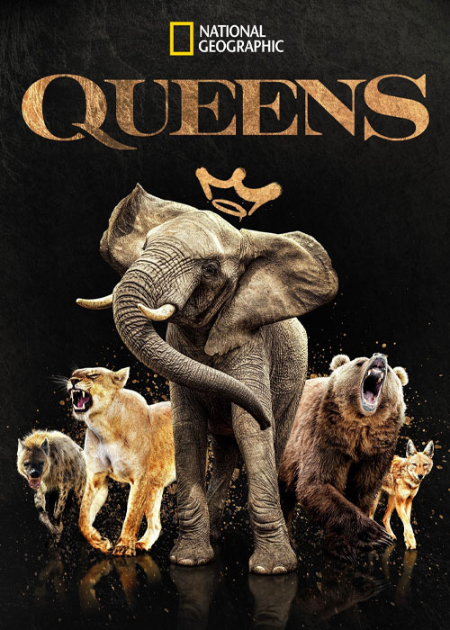 دانلود مستند ملکه ها Queens 2024 دانلود مستند ملکه ها Queens 2024