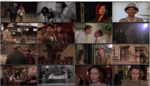 دانلود فیلم The Purple Rose of Cairo 1985 دانلود فیلم The Purple Rose of Cairo 1985