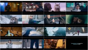 دانلود فیلم گربه و سگ Cat and Dog 2024 دانلود فیلم گربه و سگ Cat and Dog 2024