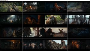 دانلود فیلم Kingdom of the Planet of the Apes 2024 دانلود فیلم Kingdom of the Planet of the Apes 2024