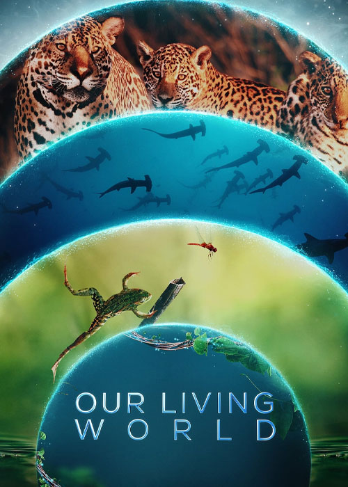 دانلود مستند دنیای زنده ما Our Living World 2024