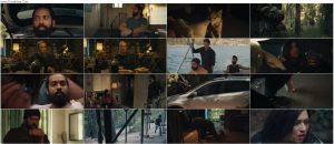 دانلود فیلم غریبه ای در جنگل Stranger in the Woods 2024