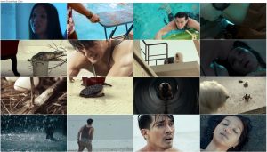 دانلود فیلم استخر The Pool 2018 دانلود فیلم استخر The Pool 2018