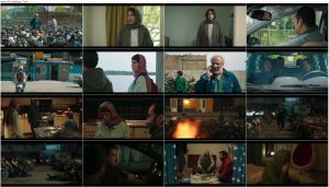 دانلود قسمت چهاردهم سریال جنگل آسفالت با کیفیت BluRay قسمت چهاردهم سریال جنگل آسفالت