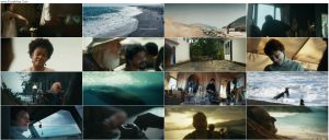 دانلود فیلم دوست پنگوئن من My Penguin Friend 2024 دانلود فیلم دوست پنگوئن من My Penguin Friend 2024