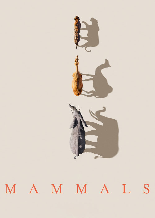 دانلود مستند پستانداران Mammals 2024