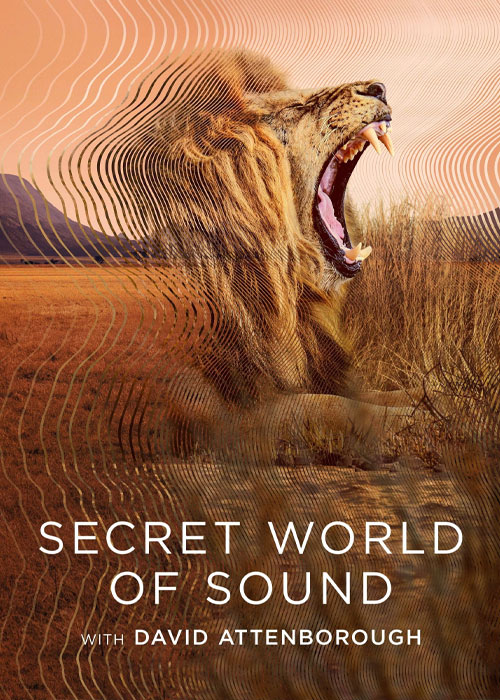 دانلود مستند Secret World of Sound 2024 دنیای مخفی صدا با دیوید اتنبرو Secret World of Sound with David Attenborough 2024