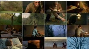 دانلود فیلم Stories from the Chestnut Woods 2019