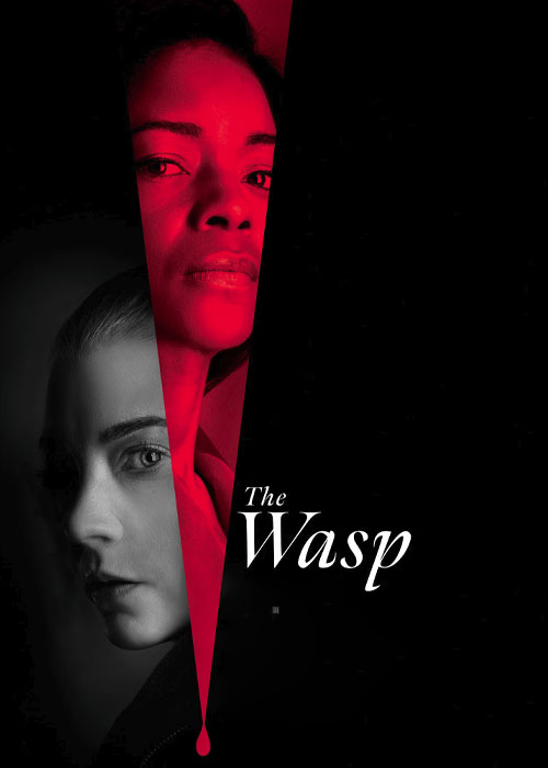 دانلود فیلم زنبور The Wasp 2024 دانلود فیلم زنبور The Wasp 2024