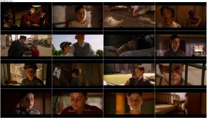 دانلود فیلم پادشاه تپه King of the Hill 1993 دانلود فیلم پادشاه تپه King of the Hill 1993