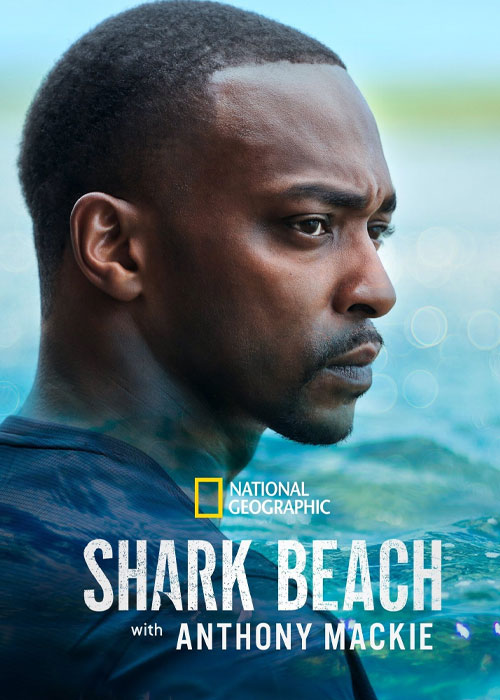 دانلود مستند Shark Beach with Anthony Mackie 2024 دانلود مستند Shark Beach with Anthony Mackie 2024