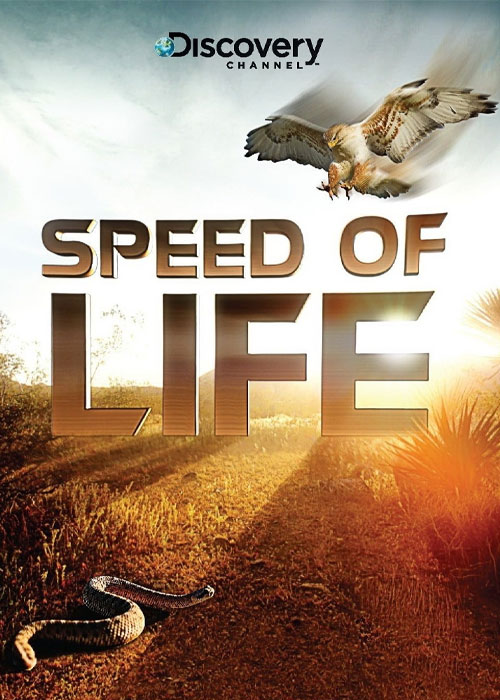 دانلود مستند سرعت زندگی Speed of Life 2010 دانلود مستند سرعت زندگی Speed of Life 2010