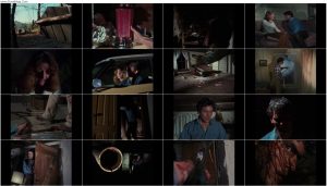 دانلود فیلم مرده شریر The Evil Dead 1981 دانلود فیلم مرده شریر The Evil Dead 1981