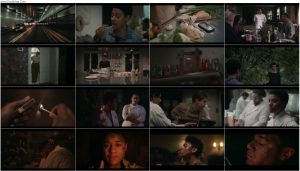 دانلود فیلم خانه غنائم House of Spoils 2024 دانلود فیلم خانه غنائم House of Spoils 2024