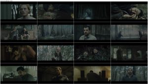 دانلود فیلم خروس The Rooster 2023