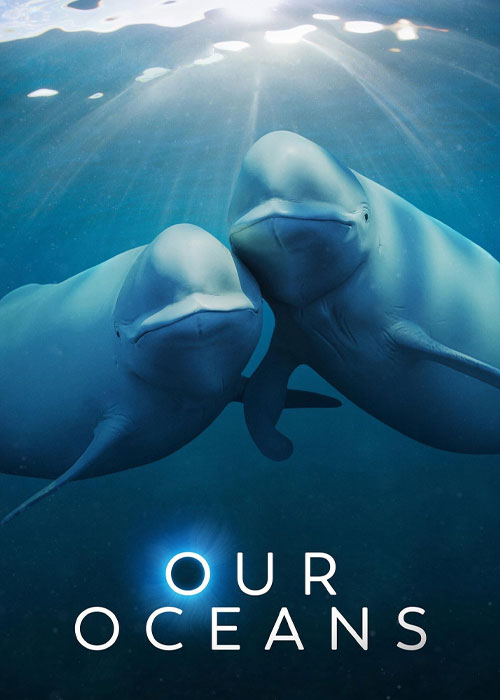 دانلود مستند اقیانوسهای ما Our Oceans 2024 دانلود مستند اقیانوسهای ما Our Oceans 2024