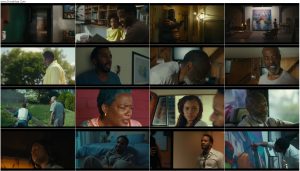 دانلود فیلم نمایش بخشش Exhibiting Forgiveness 2024 دانلود فیلم نمایش بخشش Exhibiting Forgiveness 2024