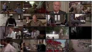 دانلود فیلم روز شغال The Day of the Jackal 1973 دانلود فیلم روز شغال The Day of the Jackal 1973