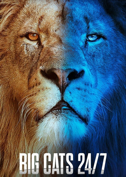دانلود مستند گربه&zwnj;های بزرگ ۲۴/۷ Big Cats 24/7 2024