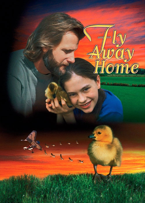 دانلود فیلم پرواز به خانه Fly Away Home 1996 دانلود فیلم پرواز به خانه Fly Away Home 1996