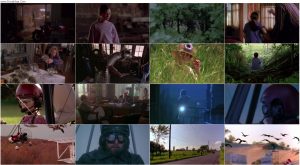 دانلود فیلم پرواز به خانه Fly Away Home 1996 دانلود فیلم پرواز به خانه Fly Away Home 1996