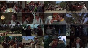 دانلود فیلم شناندوا Shenandoah 1965 دانلود فیلم شناندوا Shenandoah 1965