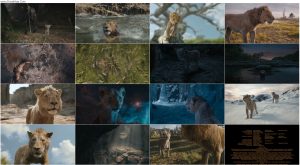 دانلود انیمیشن موفاسا Mufasa: The Lion King 2024 دانلود انیمیشن Mufasa: The Lion King 2024