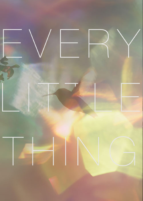 دانلود مستند تکتک چیزهای کوچک Every Little Thing 2024 دانلود مستند تکتک چیزهای کوچک Every Little Thing 2024
