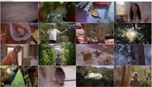 دانلود مستند تکتک چیزهای کوچک Every Little Thing 2024 دانلود مستند تکتک چیزهای کوچک Every Little Thing 2024