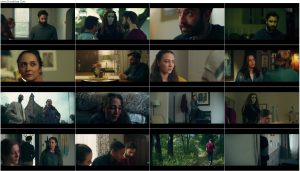 دانلود فیلم Download 825 Forest Road 2025 دانلود فیلم Download 825 Forest Road 2025