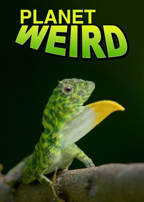 دانلود مستند سیاره عجیب Planet Weird 2024