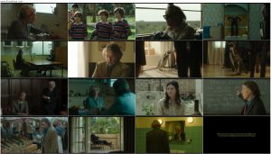 دانلود فیلم درسهای پنگوئن The Penguin Lessons 2024 دانلود فیلم درسهای پنگوئن The Penguin Lessons 2024