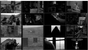 دانلود فیلم اسب تورین The Turin Horse 2011 دانلود فیلم اسب تورین The Turin Horse 2011