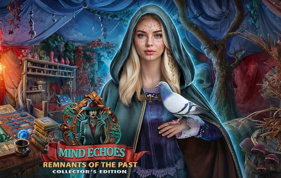 دانلود بازی Mind Echoes 2: Remnants of the Past Collector&rsquo;s Edition