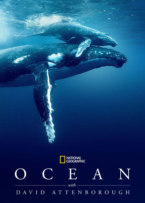 دانلود مستند Ocean with David Attenborough 2025 دانلود مستند Ocean with David Attenborough 2025