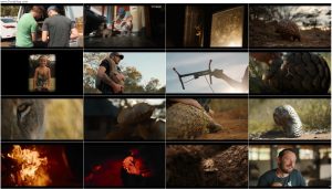 دانلود مستند پانگولین: سفر کولو Pangolin: Kulu's Journey 2025