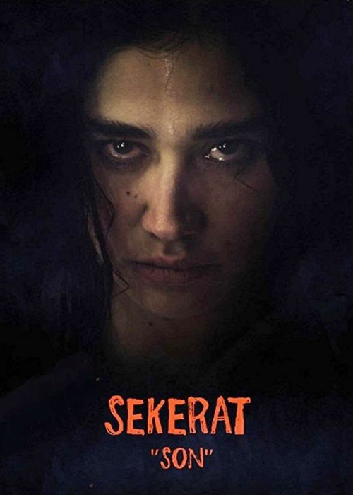 دانلود فیلم آخرین نقاشی Sekerat Son 2016 دانلود فیلم آخرین نقاشی Sekerat Son 2016