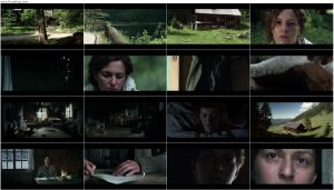 دانلود فیلم دیوار The Wall 2012 دانلود فیلم دیوار The Wall 2012