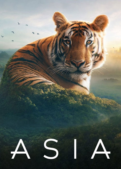 دانلود مستند آسیا Asia 2024 دانلود مستند آسیا Asia 2024