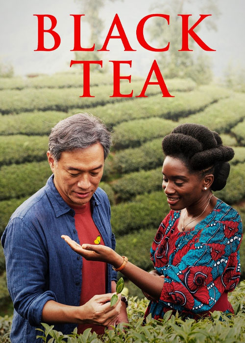 دانلود فیلم چای سیاه Black Tea 2024 دانلود فیلم چای سیاه Black Tea 2024