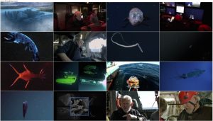 دانلود مستند Deep Ocean: Lights in the Abyss 2016 دانلود مستند Deep Ocean: Lights in the Abyss 2016