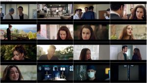 دانلود فیلم عشق بیپایان Endless Love 2017 دانلود فیلم عشق بیپایان Endless Love 2017
