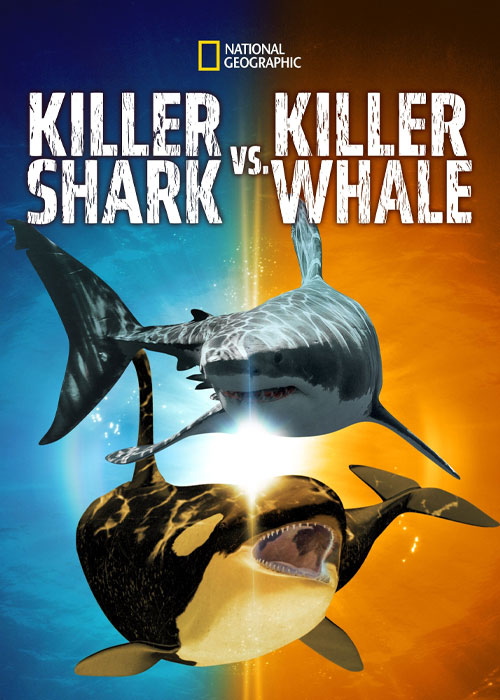 دانلود مستند Killer Shark vs. Killer Whale 2021