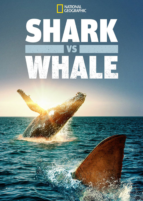 دانلود مستند کوسه در مقابل نهنگ Shark vs. Whale 2020