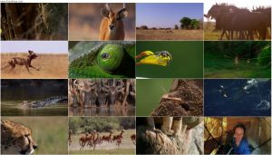 دانلود مستند The Hunt: The Hardest Challenge 2015 دانلود مستند The Hunt: The Hardest Challenge 2015