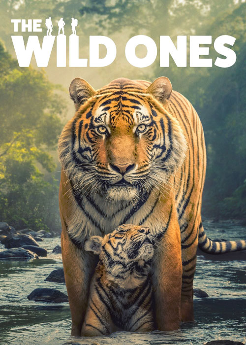 دانلود مستند وحشیها The Wild Ones 2025 دانلود مستند وحشیها The Wild Ones 2025