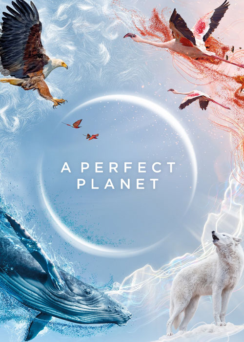 دانلود مستند سیاره&zwnj;ای بی&zwnj;نقص A Perfect Planet 2021