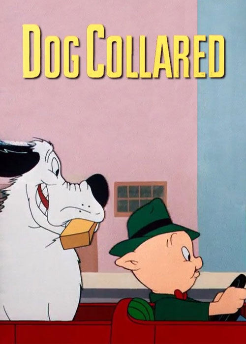 دانلود انیمیشن قلاده سگ Dog Collared 1950 دانلود انیمیشن قلاده سگ Dog Collared 1950